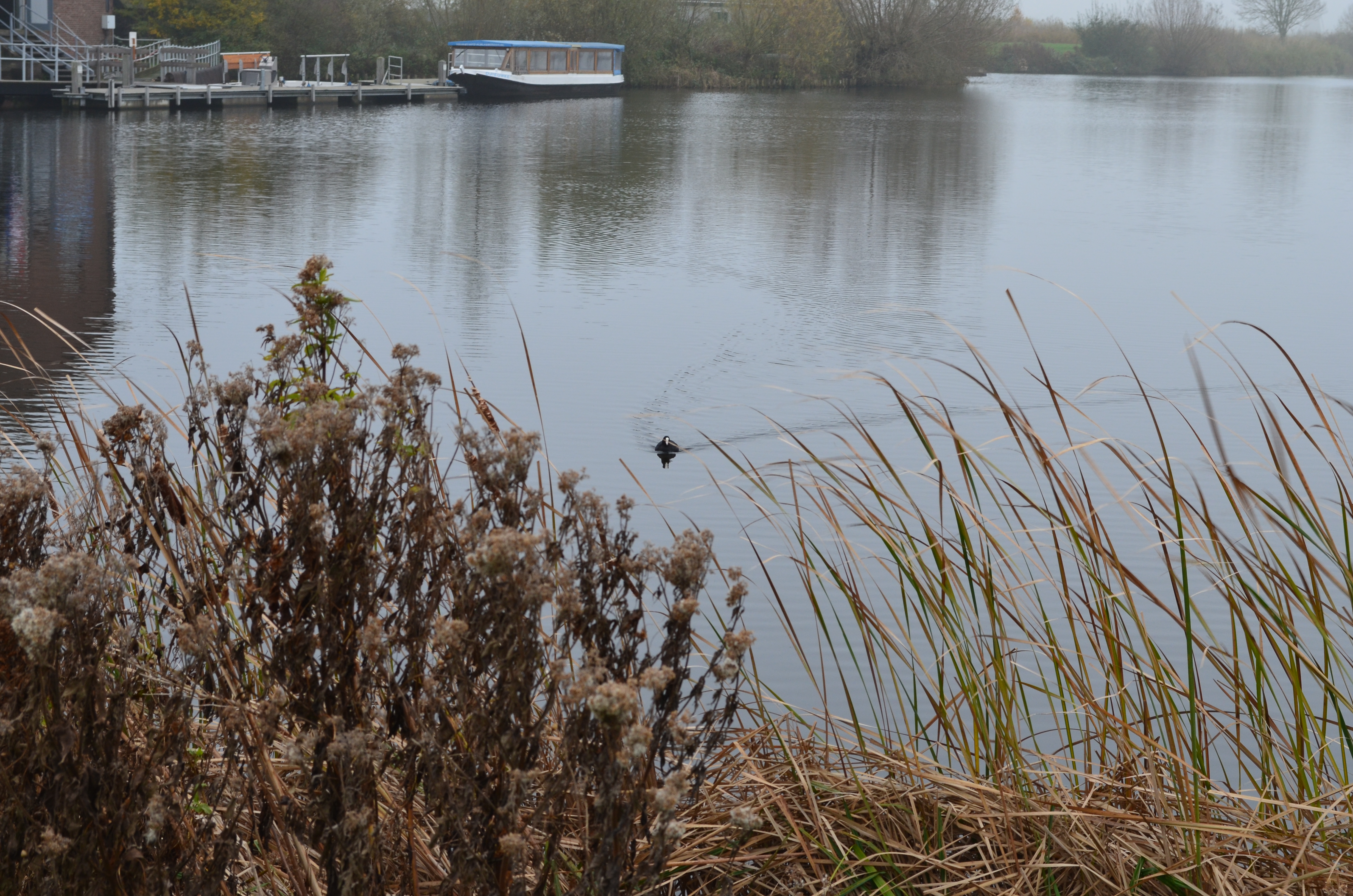 ./2017/19 - Viking Lif/12 - Kinderdijk, The Netherlands/DSC_0260.JPG
